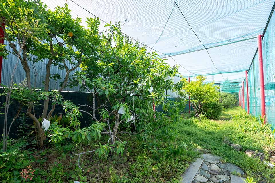 工場内の緑を増やす活動