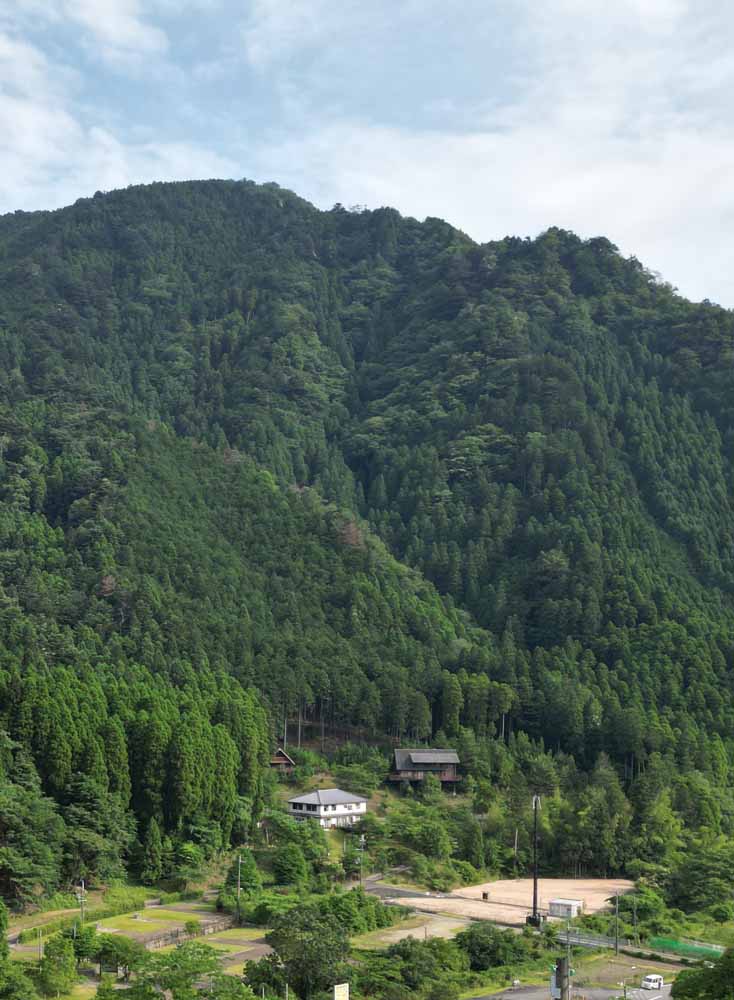 サステナビリティ