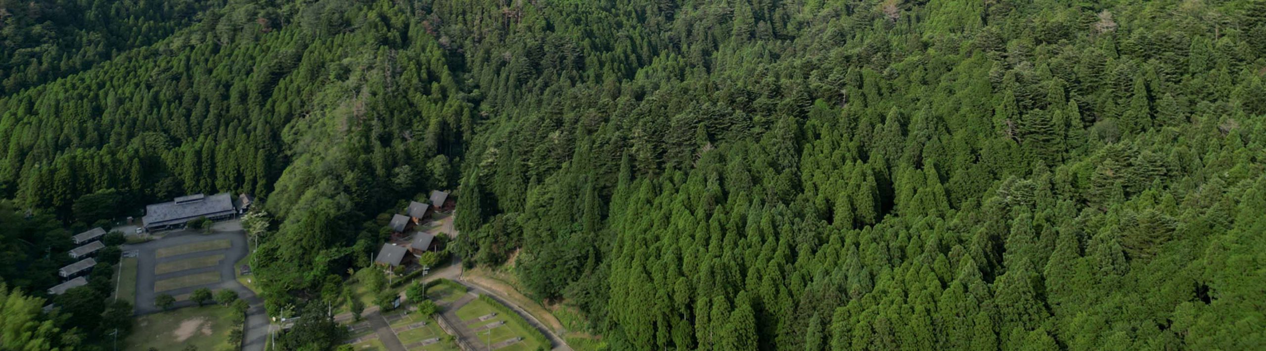 環境への取り組み